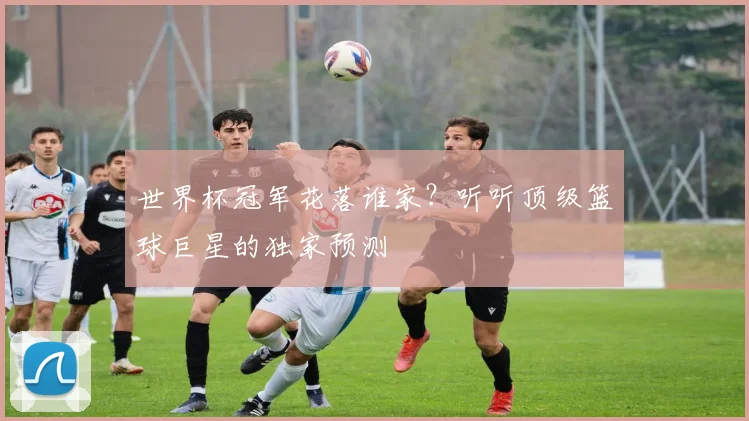 世界杯冠军花落谁家?听听顶级篮球巨星的独家预测