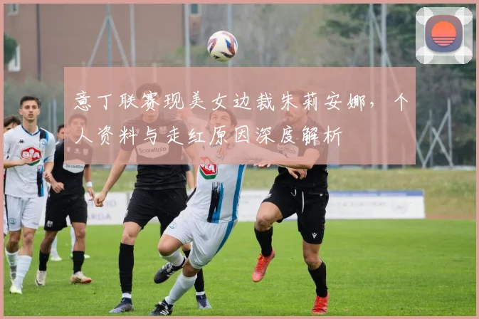 意丁联赛现美女边裁朱莉安娜，个人资料与走红原因深度解析